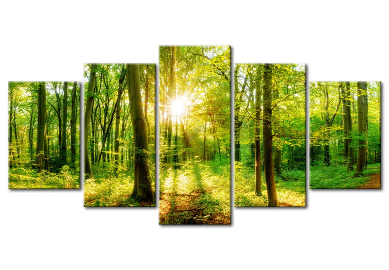 Paveikslai ant drobės su saulėtu mišku - Miško pasaka, (x5), 94220 G-ART.