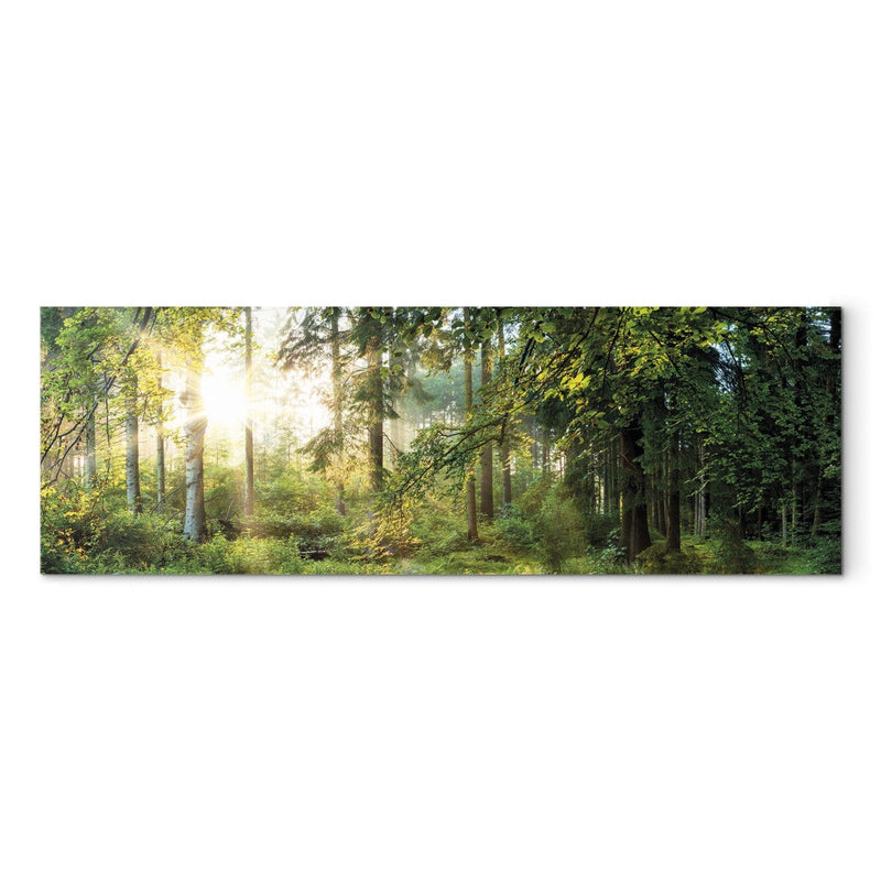 Glezna ar saulainu mežu - Meža patversme, (x1), 91569 Tapetenshop.lv.
