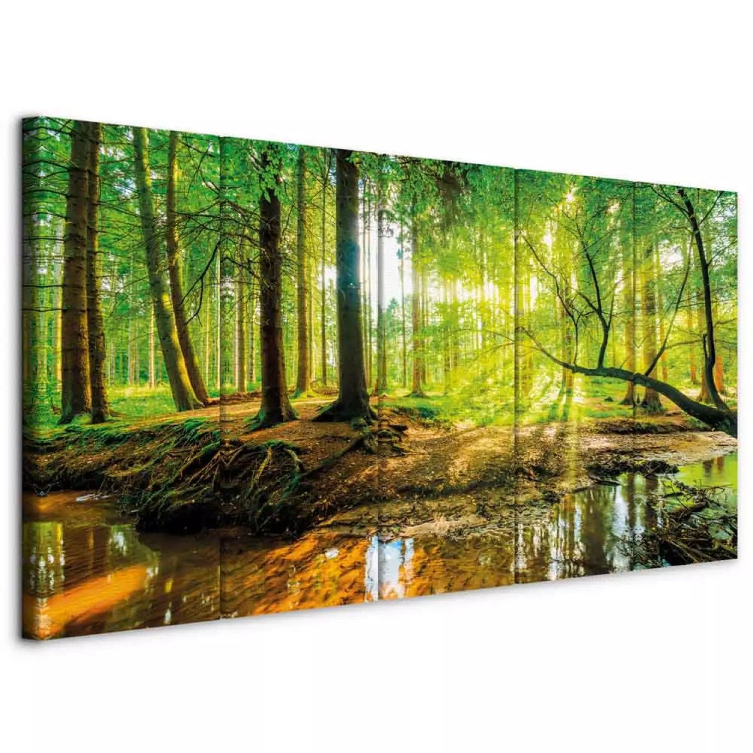 Paintings
