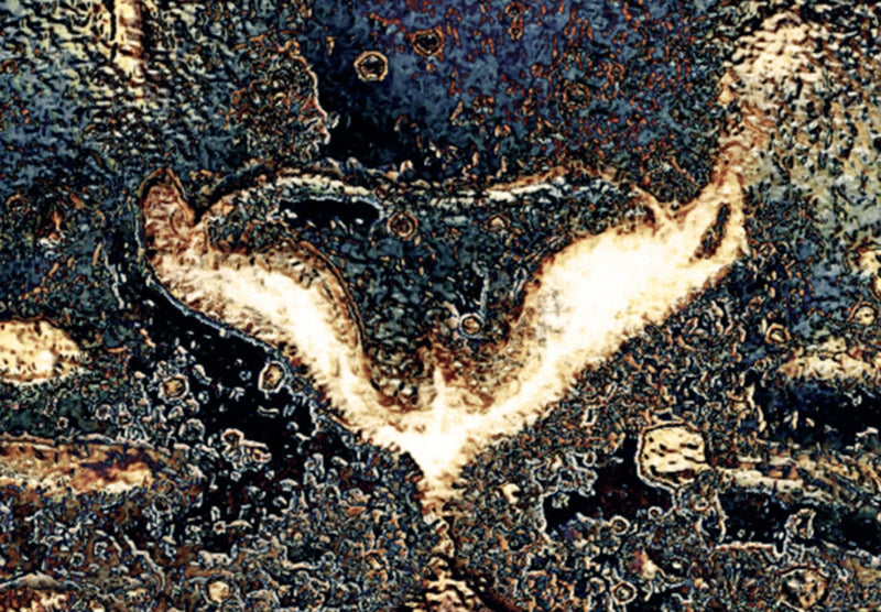 Kanva ar tīģeri - Krāšņais skaistums, (x5), 92073 G-ART.