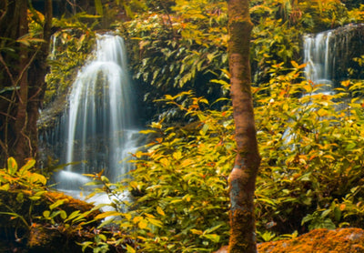 Canva with waterfall and Buddha - Silent Enclave, (x5), 90014 G-ART.