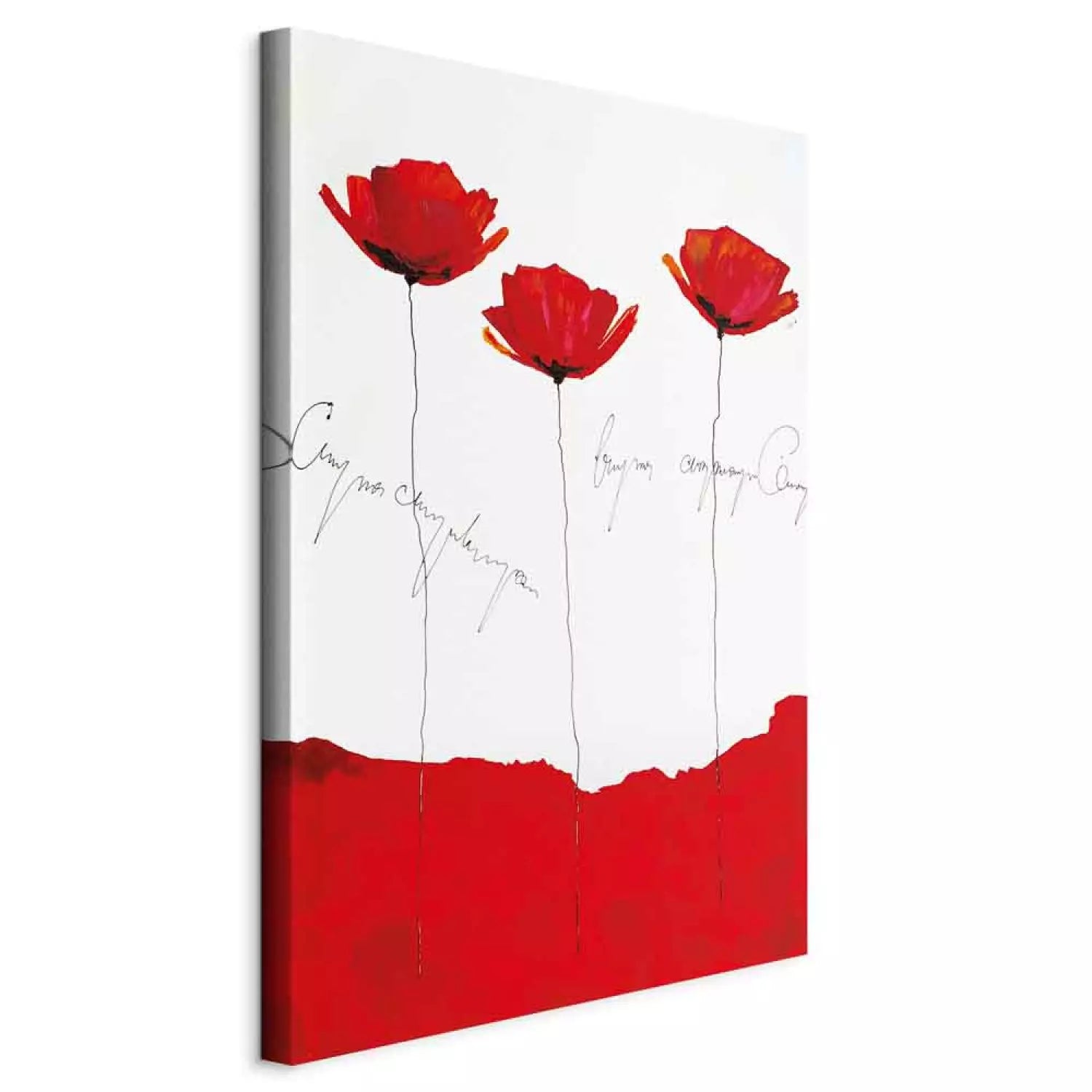 Kanva - Magones ar uzrakstiem, sarkanas stilizētas magones uz balta ART XL