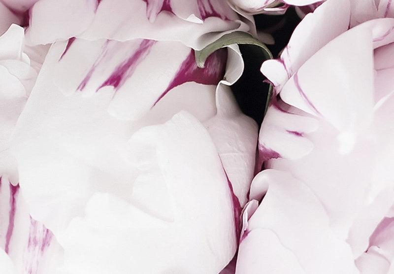 Канва с цветами - Мой розовый сад, (х 5), 150278 G-ART.