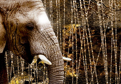 Canva with elephants on dark background - Brown elephants, 50000 (x 5) G-ART.