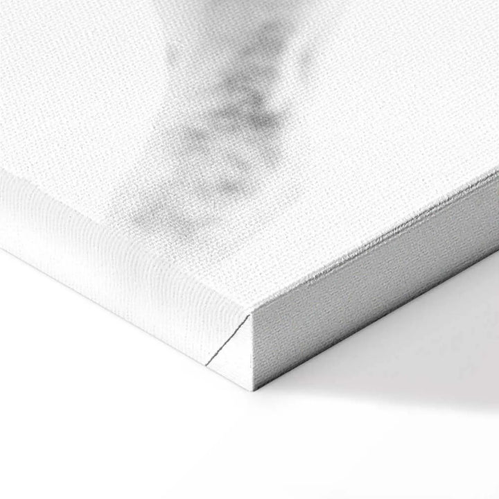 Glezna ar zirgu - Balts zirgs uz balta fona ART XL