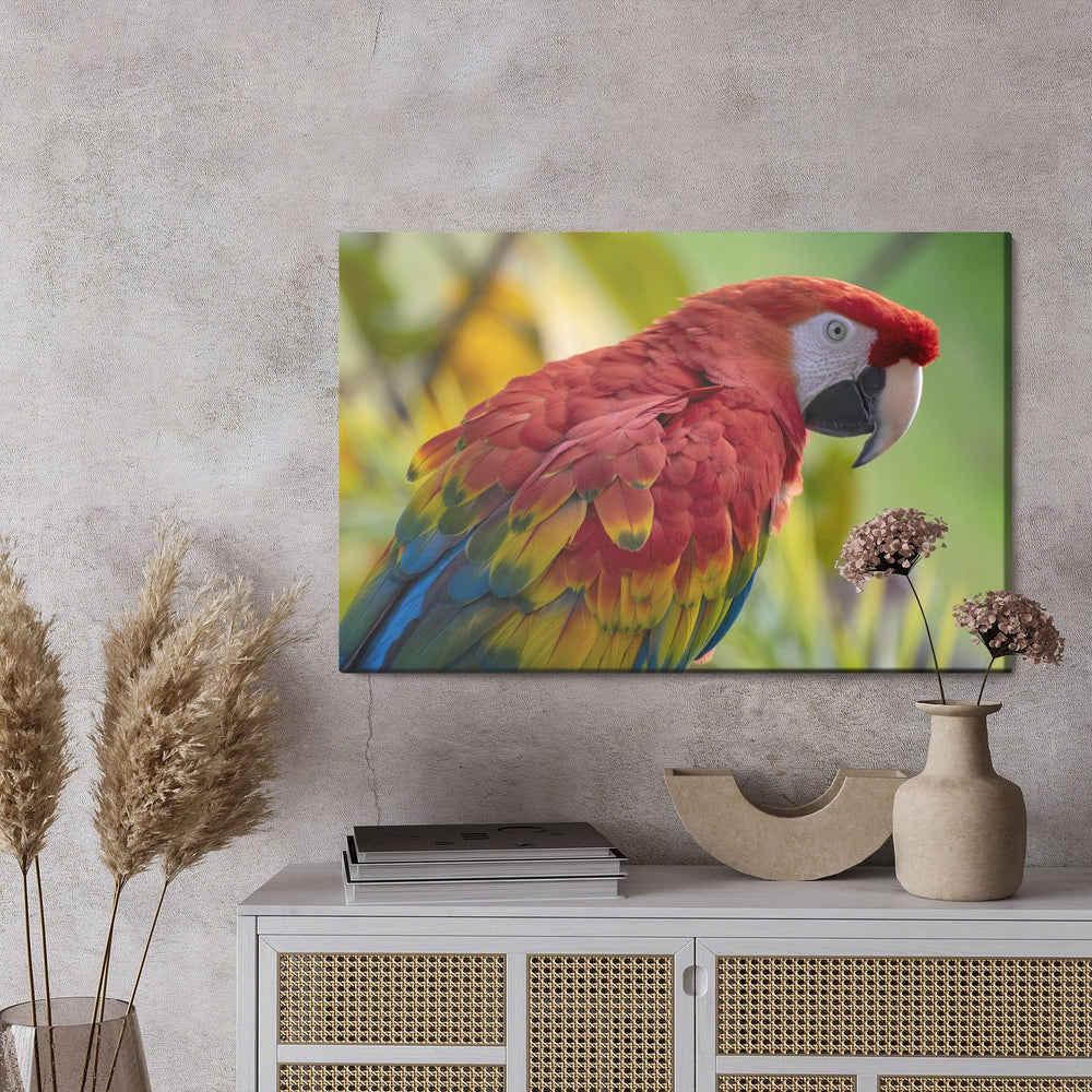 Kanva - Ara papagailis, N-825 X-ART