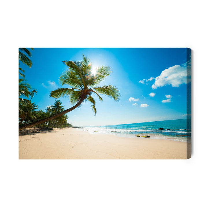 Kanva - Balta pludmale ar palmu, N-508 X-ART