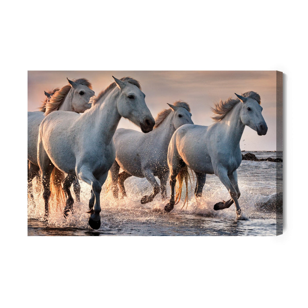 Kanva - Balta zirgi jūrā, N-390 X-ART