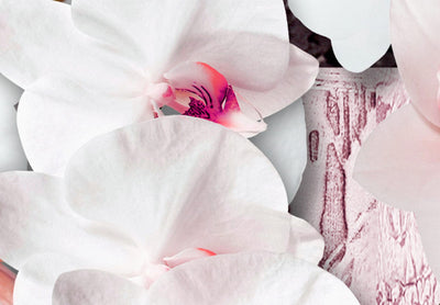 Canvas-taulut - valkoisia orkideoita vaaleanpunaisen ja violetin sävyissä, (x5), 92736 G-ART.