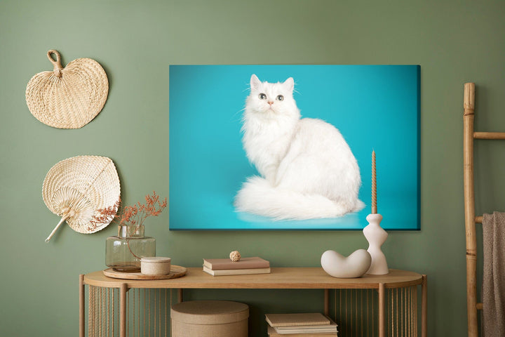 Kanva - Balts kaķis uz zila fona, N-1444 X-ART