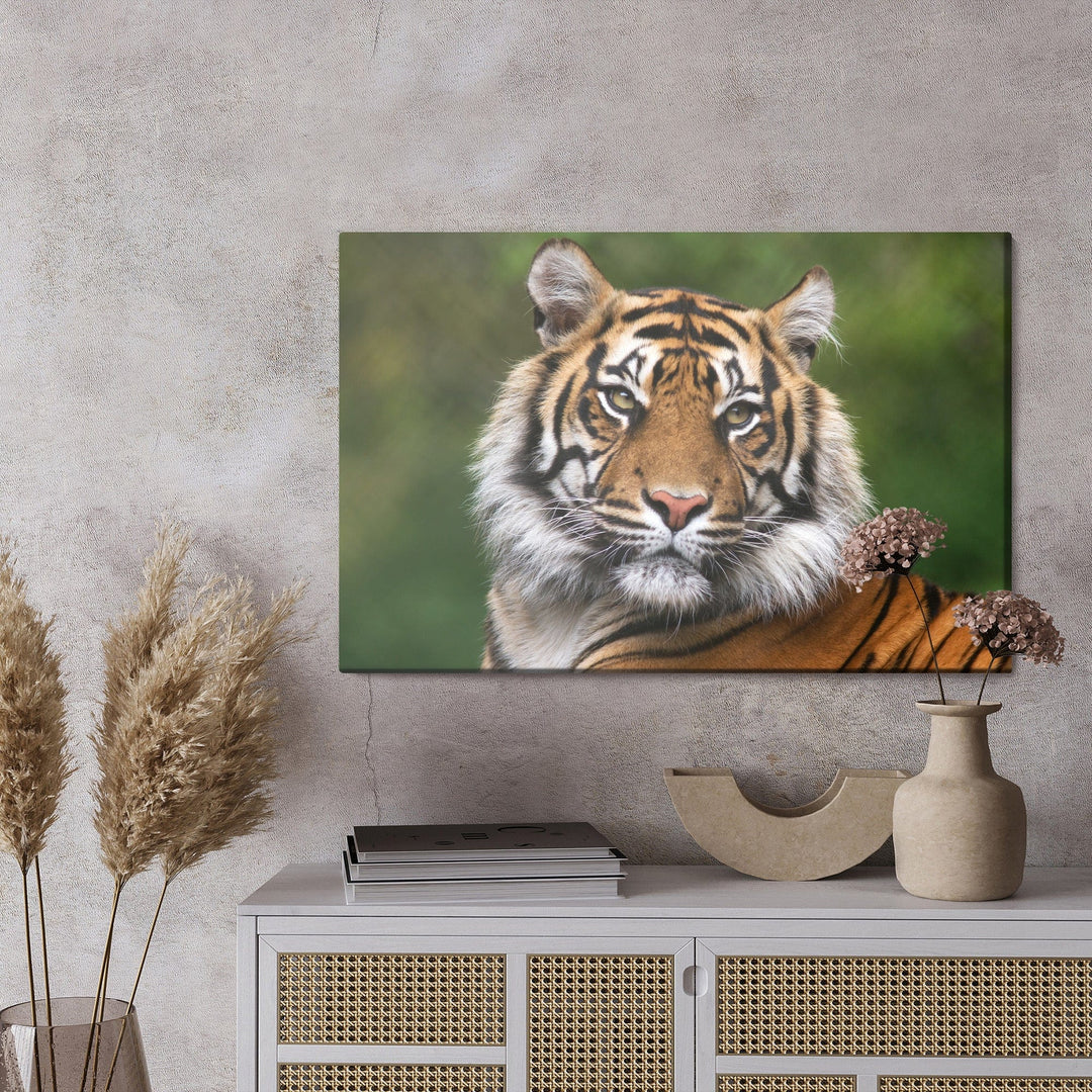 Kanva - Bengāļu tīģera portrets, N-1425 X-ART