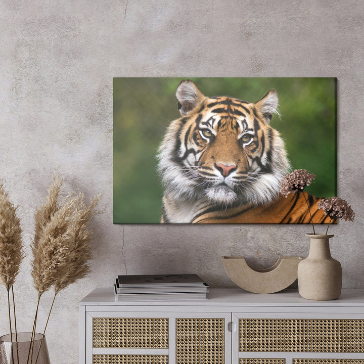 Kanva - Bengāļu tīģera portrets, N-1425 X-ART