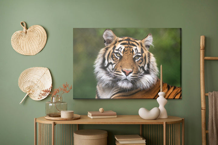 Kanva - Bengāļu tīģera portrets, N-1425 X-ART