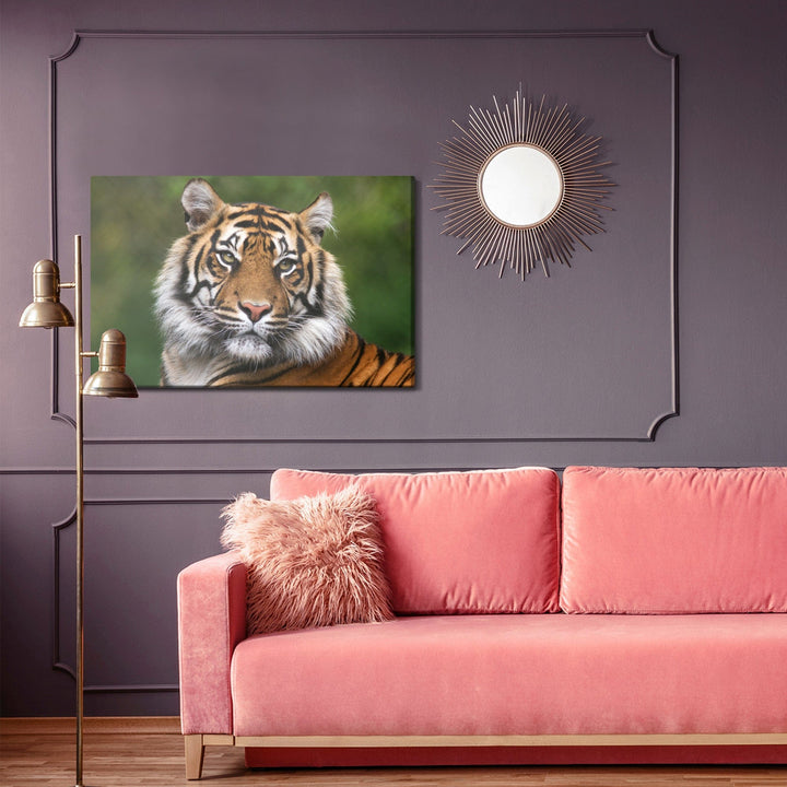 Kanva - Bengāļu tīģera portrets, N-1425 X-ART