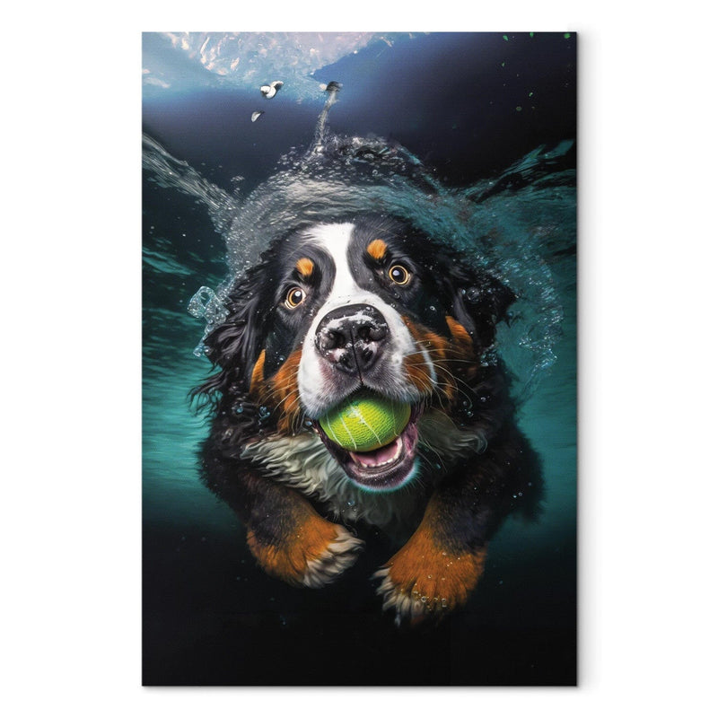 Glezna - Bernes ganu suns, peldošs suns ar bumbu mutē, 150167 Tapetenshop.lv