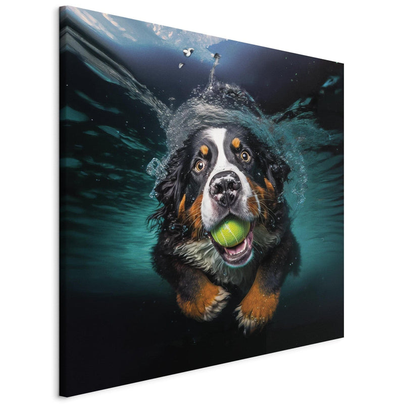 Kanva - Bernes ganu suns, peldošs suns ar bumbu mutē, 150182 G-ART
