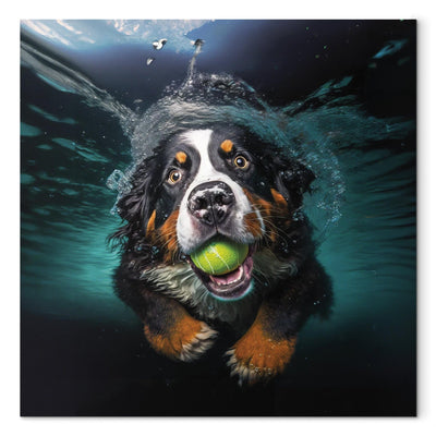Glezna - Bernes ganu suns, peldošs suns ar bumbu mutē, 150182 Tapetenshop.lv