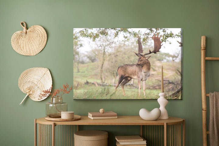 Kanva - Briedis ar krāšņiem ragiem, N-1024 X-ART