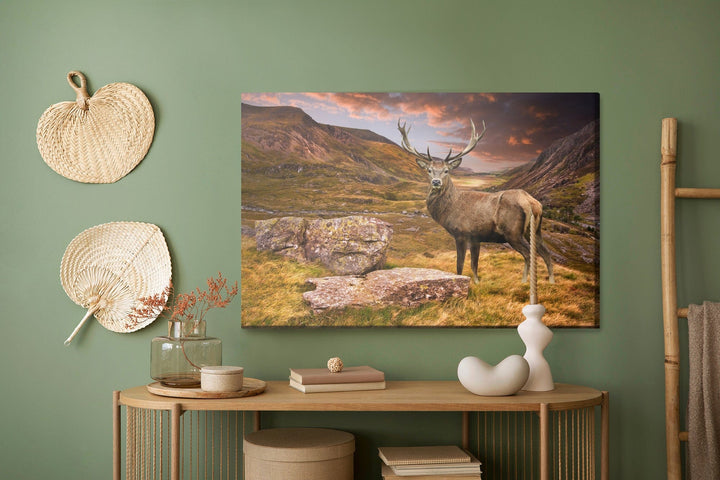 Kanva - Briedis kalnos, N-735 X-ART