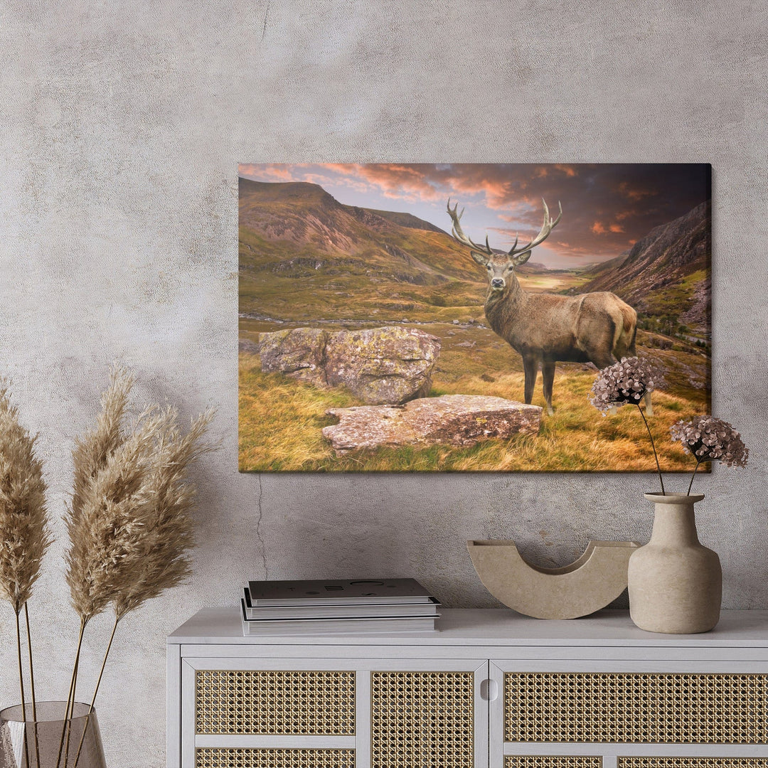 Kanva - Briedis kalnos, N-735 X-ART