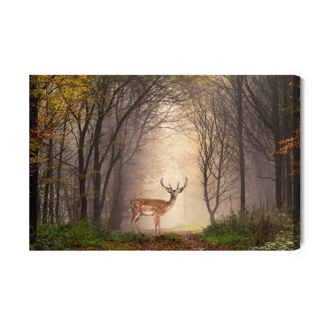 Kanva - Briedis meža vidū, N-976 X-ART