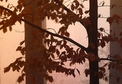Canvas-taulut - Peura metsässä, (x 5), ruskea, 118925 G-ART.