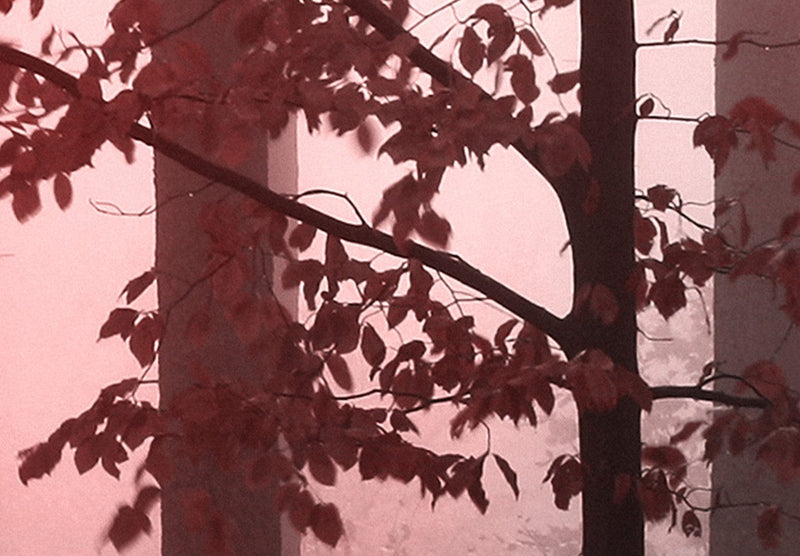 Canvas-taulut - Peura metsässä, (x 5), vaaleanpunainen, 118927 G-ART.