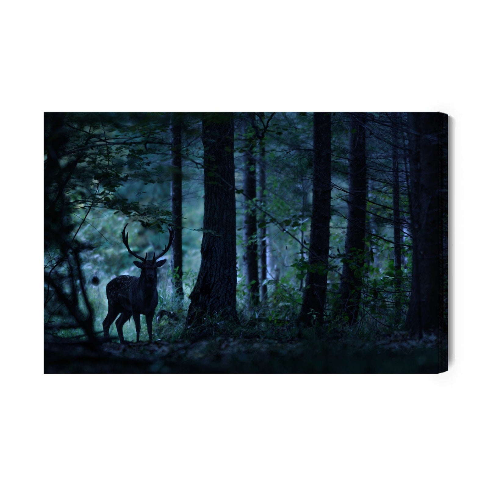 Kanva - Briedis tumšā mežā, N-741 X-ART