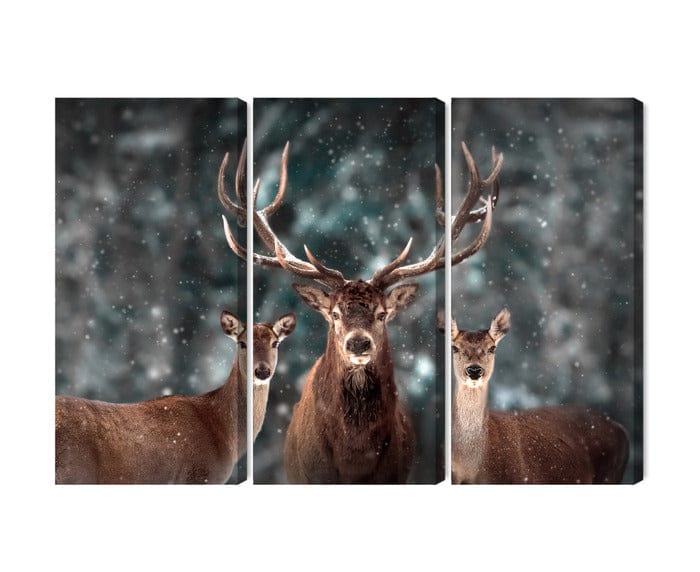 Kanva - Briedis un divas briežu mātītes mežā, N-4559 X-ART