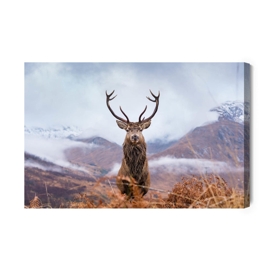 Kanva - Briedis un ziemas kalni, N-757 X-ART