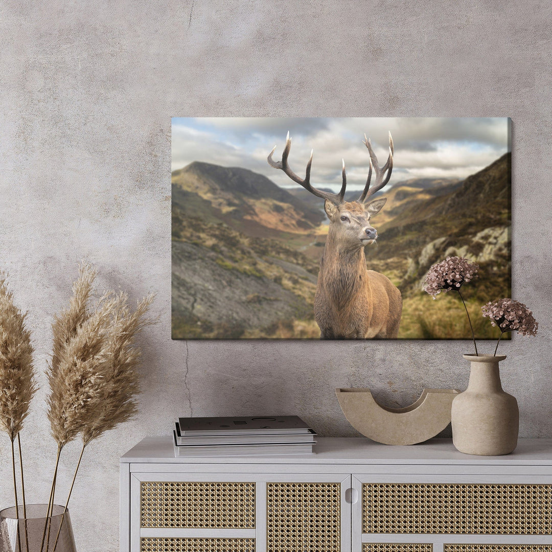 Kanva - Briedis uz kalnu fona, N-755 X-ART