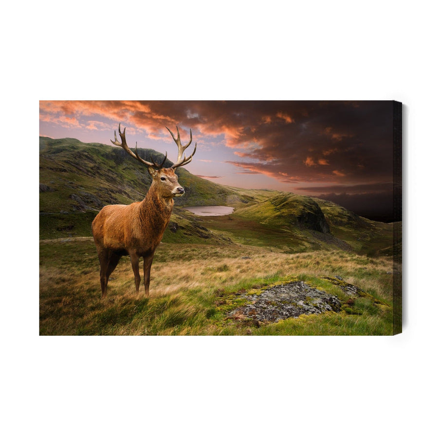 Kanva - Briedis uz mākoņainas debess fona, N-967 X-ART