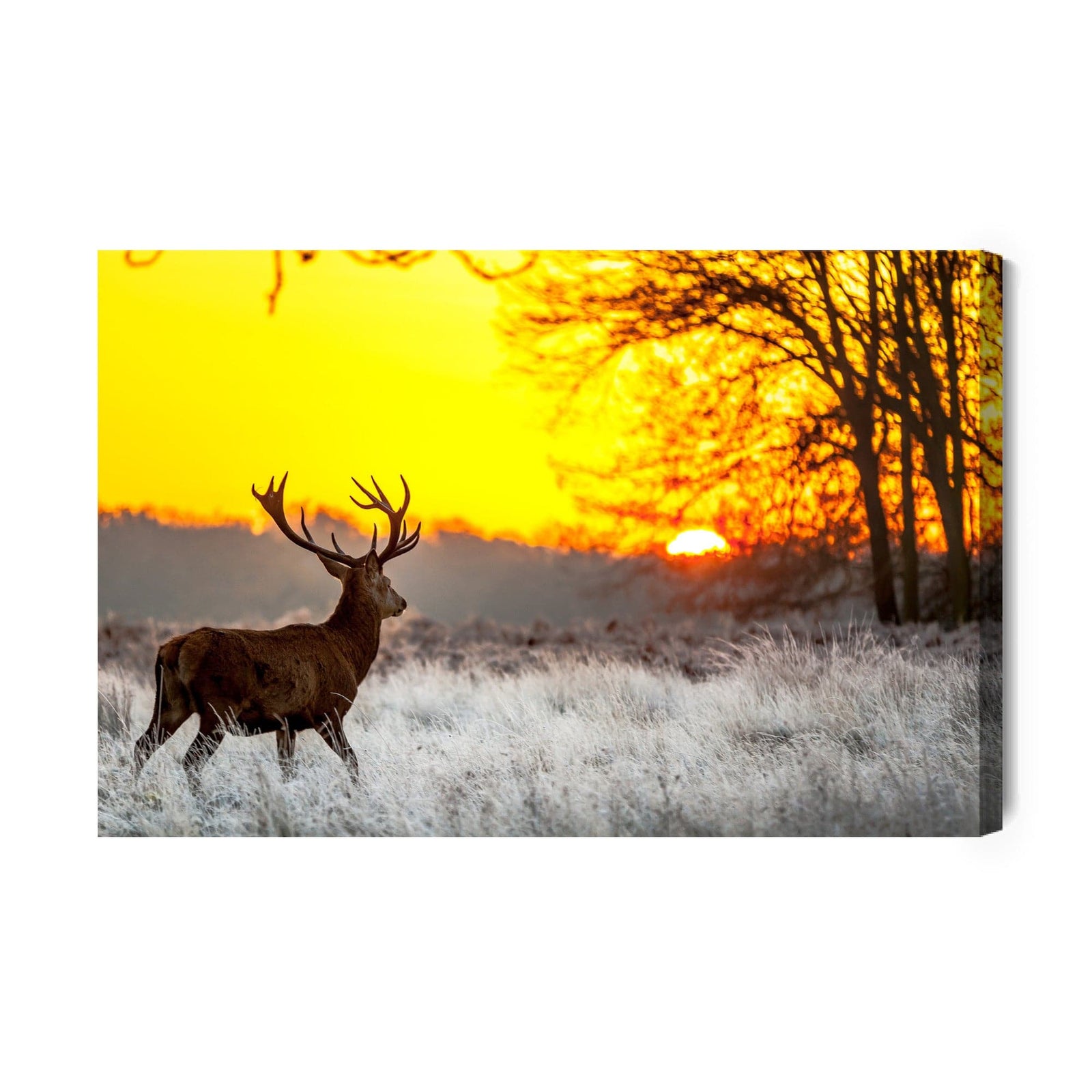 Kanva - Briedis uz saullēkta fona, N-970 X-ART