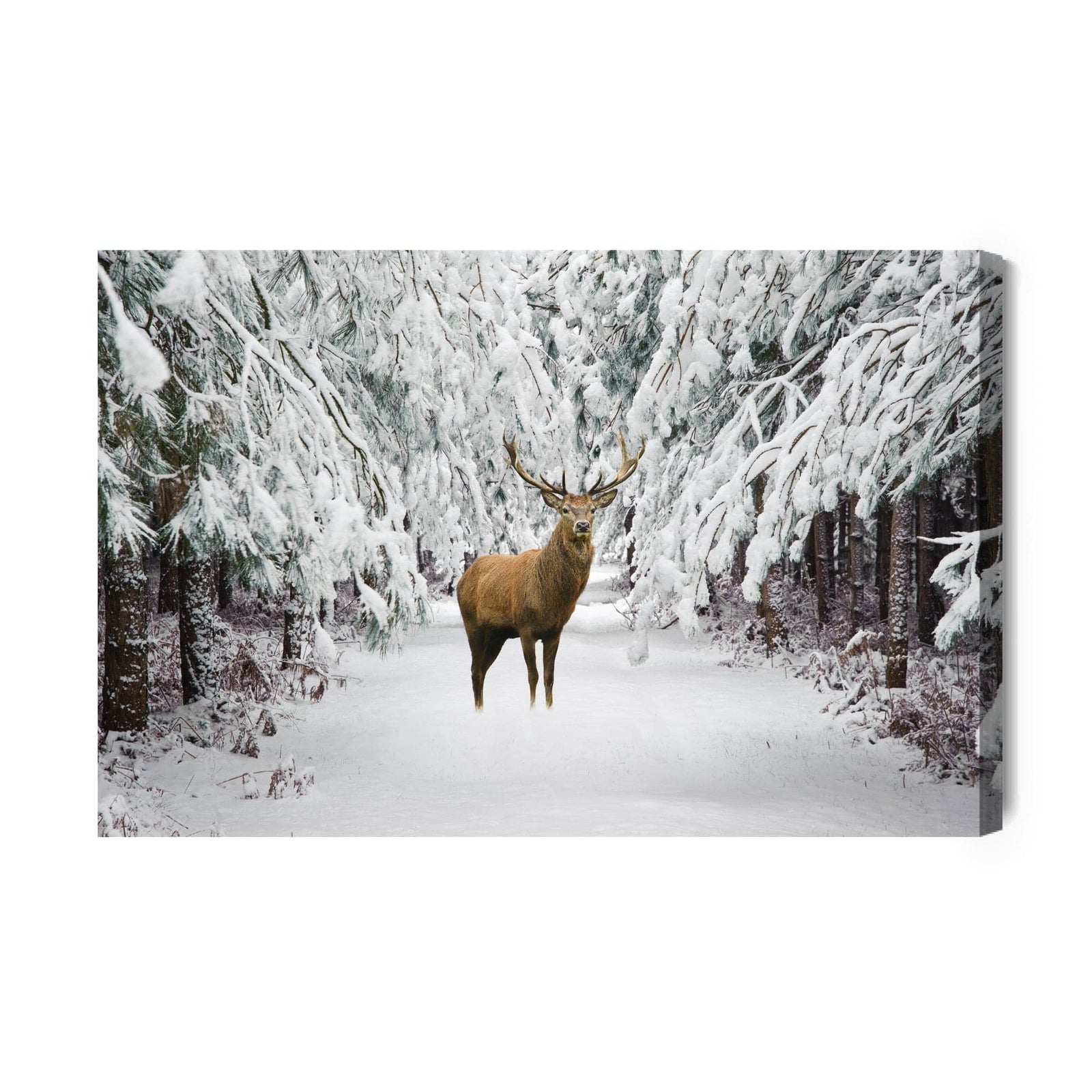 Kanva - Briedis ziemas mežā, N-980 X-ART