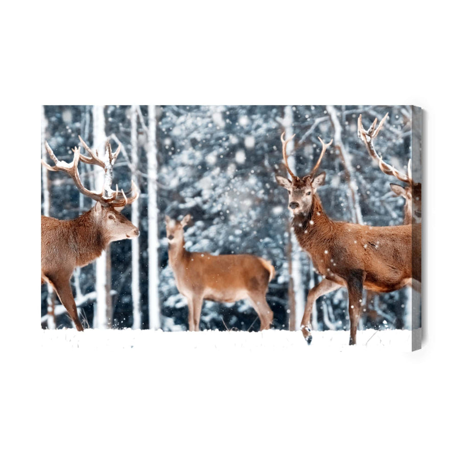 Kanva - Briežu bars ziemas mežā, N-1011 X-ART