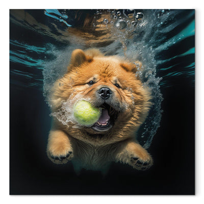 Glezna - Čau čau - peldošs suns ar bumbu mutē, 150206 Tapetenshop.lv