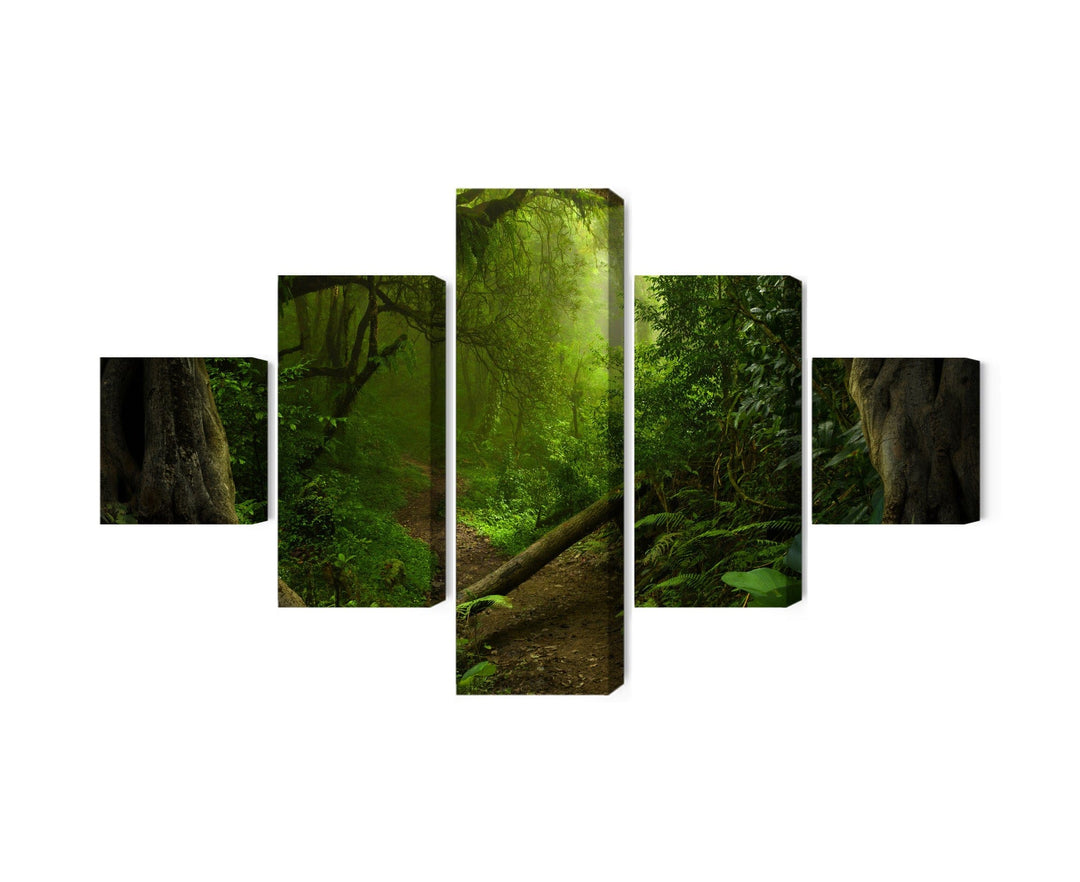 Kanva - Ceļš tropu mežā, N-1908 X-ART