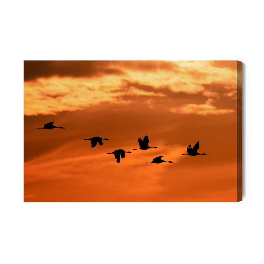 Kanva - Celtņi rītausmā, N-822 X-ART