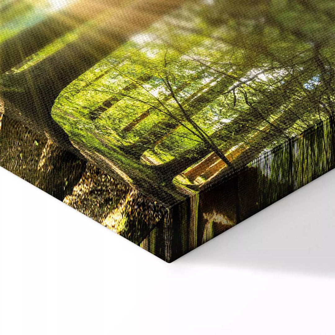 Glezna "Dienas Gaisma" – Koši Zaļš Mežs Sienas Dekoram ART XL