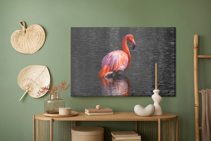 Kanva - Flamingi ūdenī, N-827 X-ART