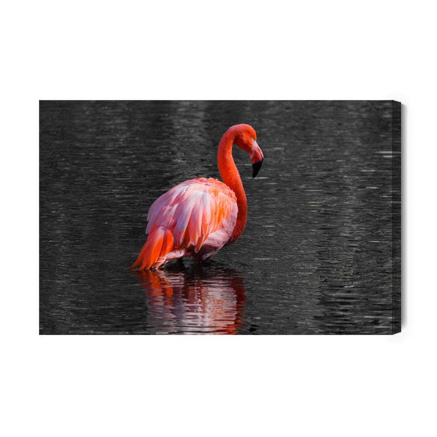 Kanva - Flamingi ūdenī, N-827 X-ART