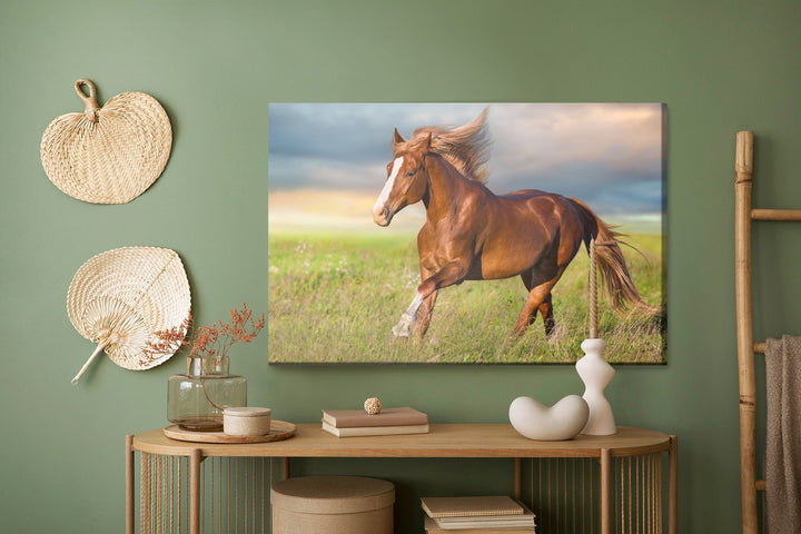 Kanva - Galopējošs zirgs mežā X-ART