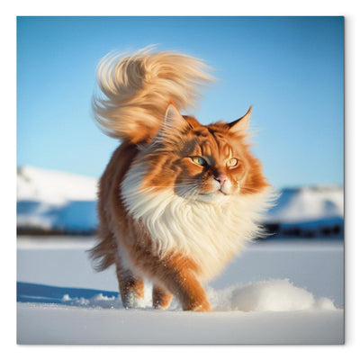 Kanva - Garspalvainais kaķis staigā pa sniegu, 150150 G-ART