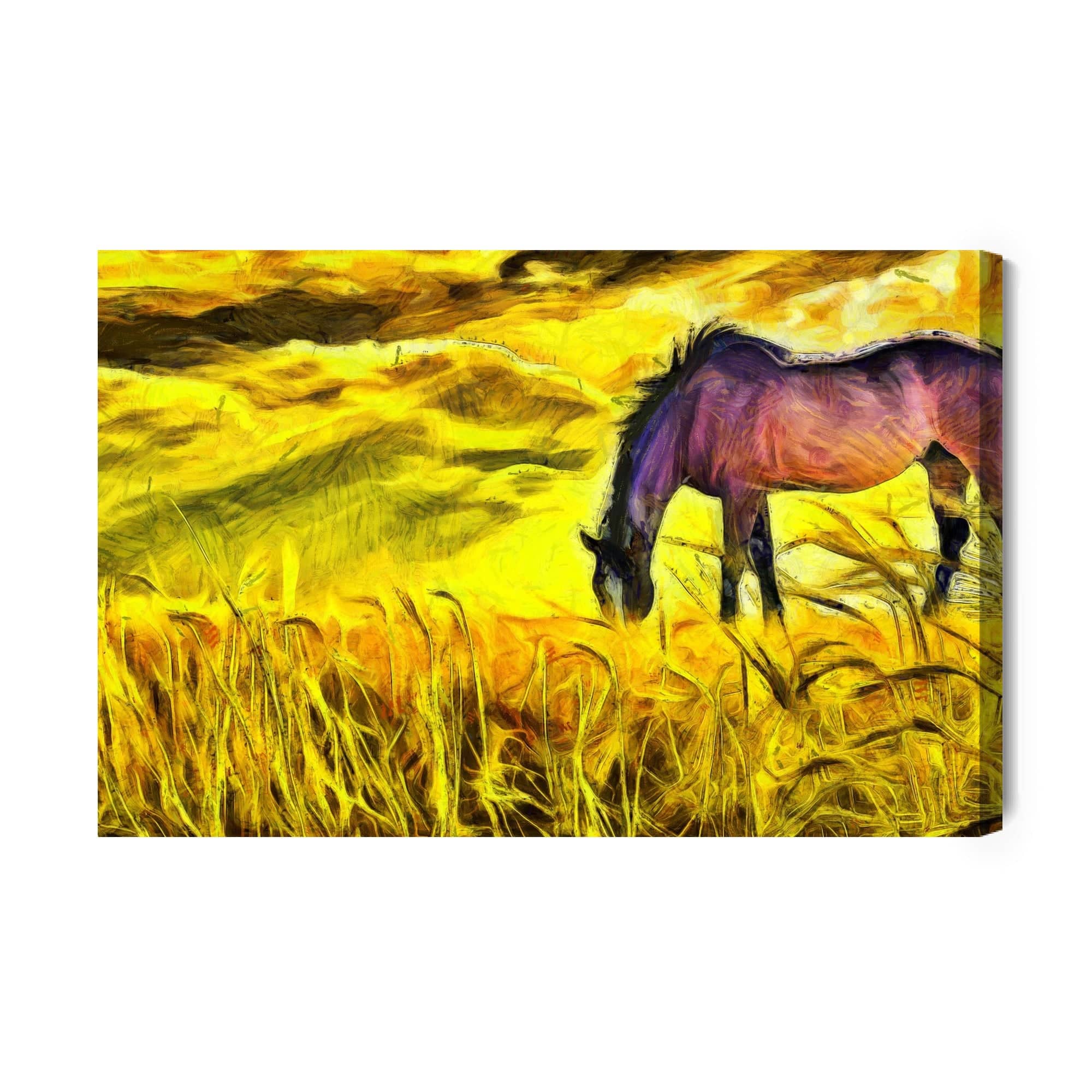 Paintings