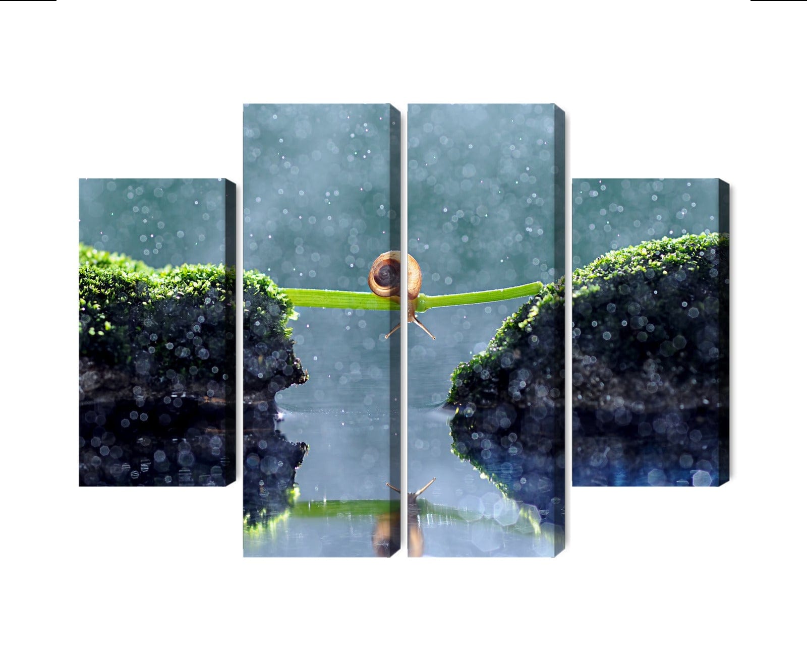 Kanva: Gliemezis lietū, zaļos toņos X-ART