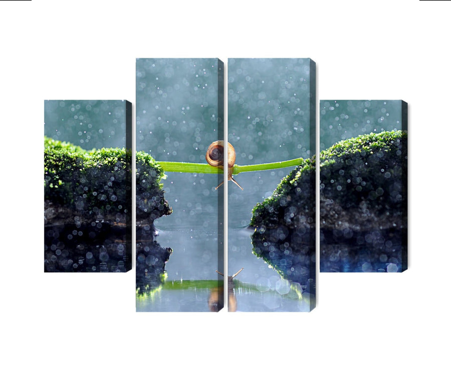 Kanva: Gliemezis lietū, zaļos toņos X-ART