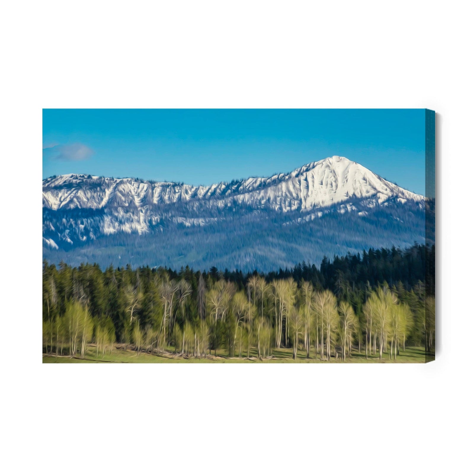 Kanva - Grand Teton nacionālais parks ASV, N-1074 X-ART