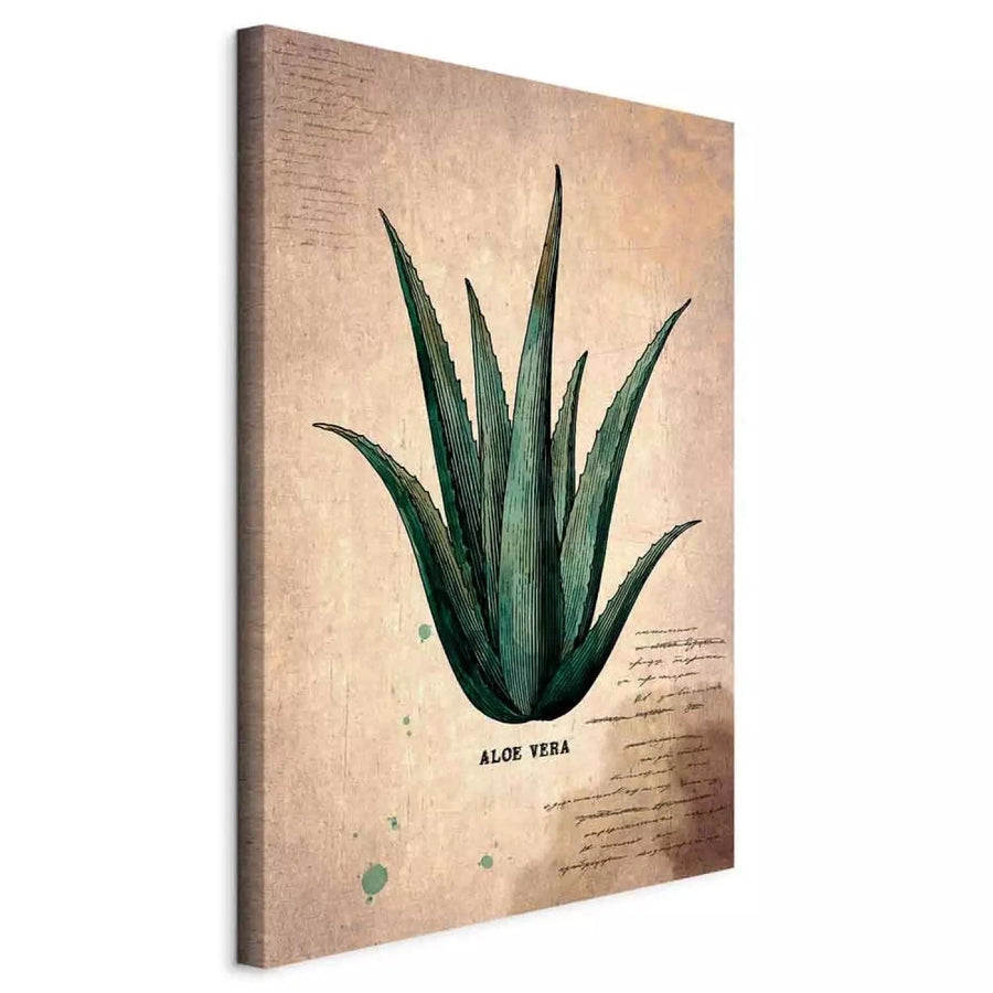 Vertikāla herbārija lapa – alvejas lapa vintage stilā G-ART