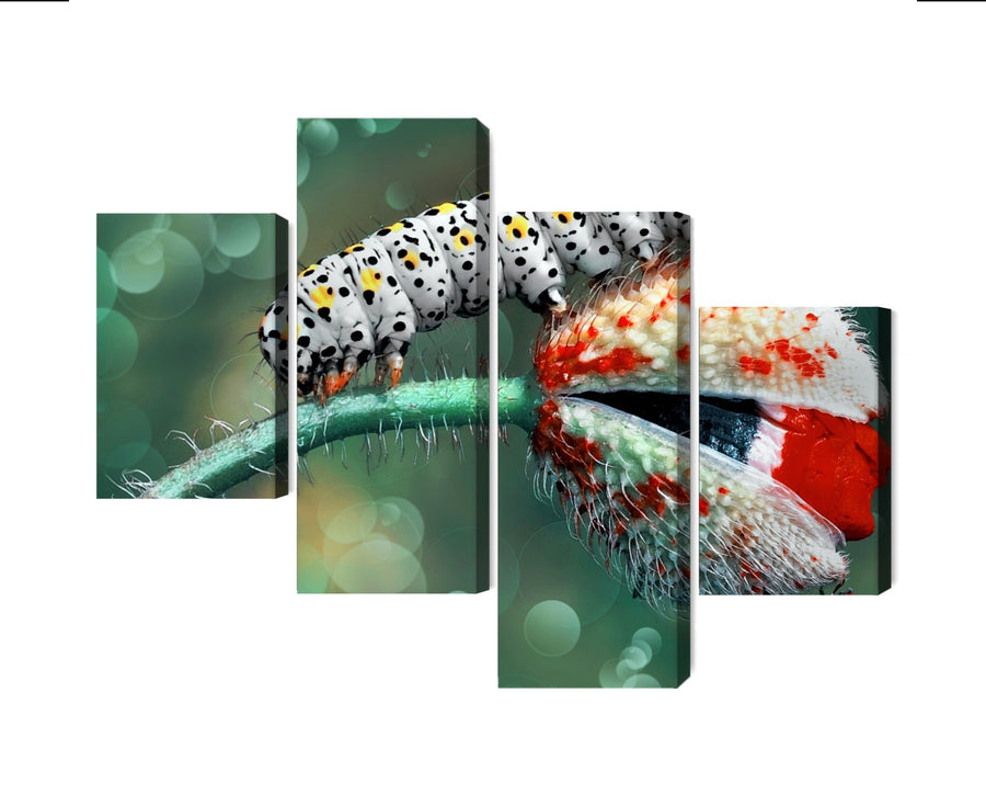 4 daļu kanva: Kāpurs un mārīte makro X-ART