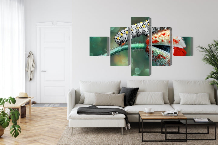 5 daļu kanva: Kāpurs un mārīte makro X-ART